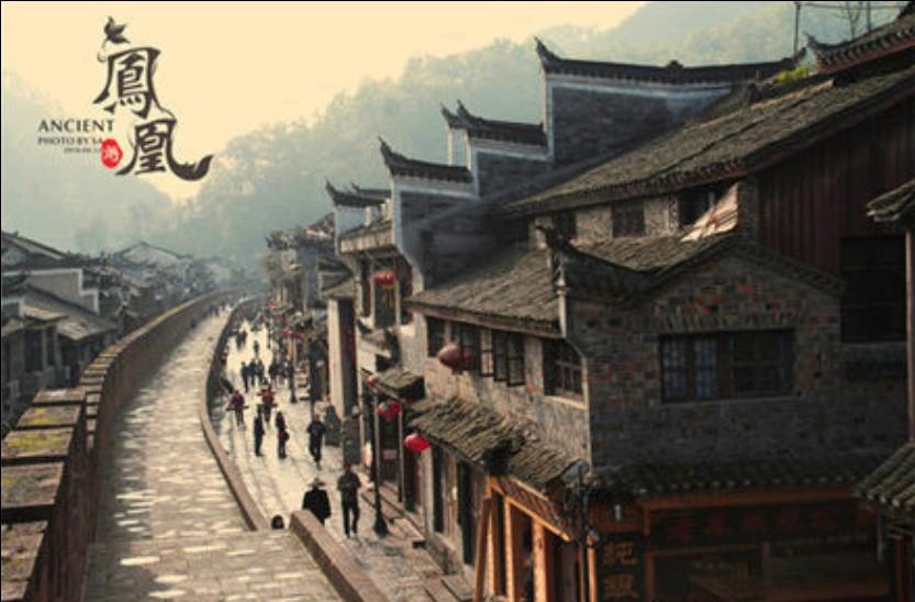 动物帮帮忙保卫家园